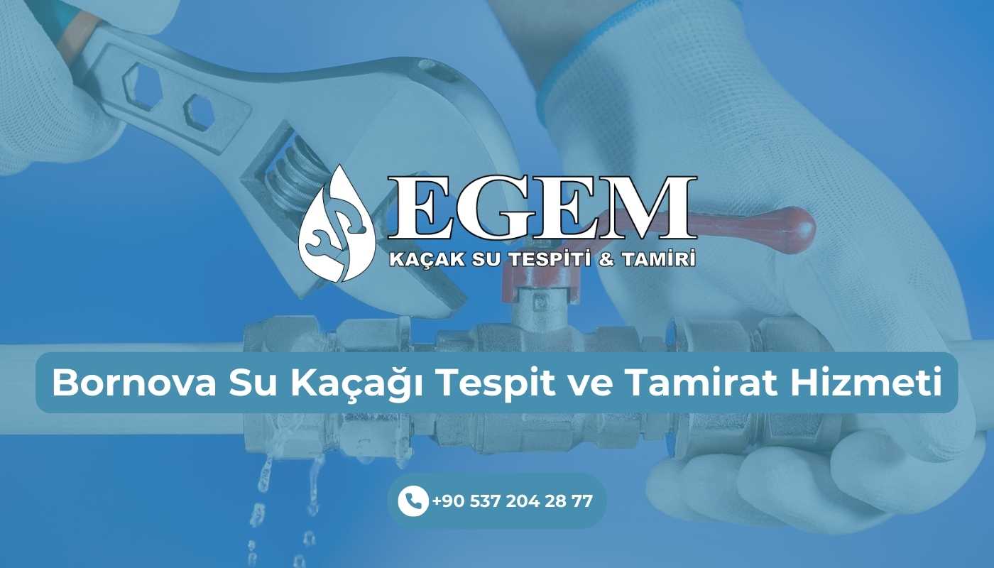 Bornova Su Kaçağı Tespit ve Tamirat Hizmeti