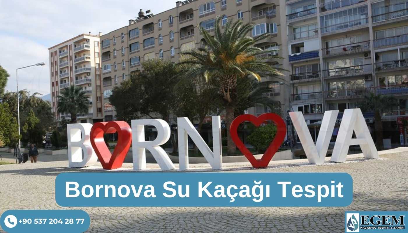 Bornova Su Kaçağı Tespiti